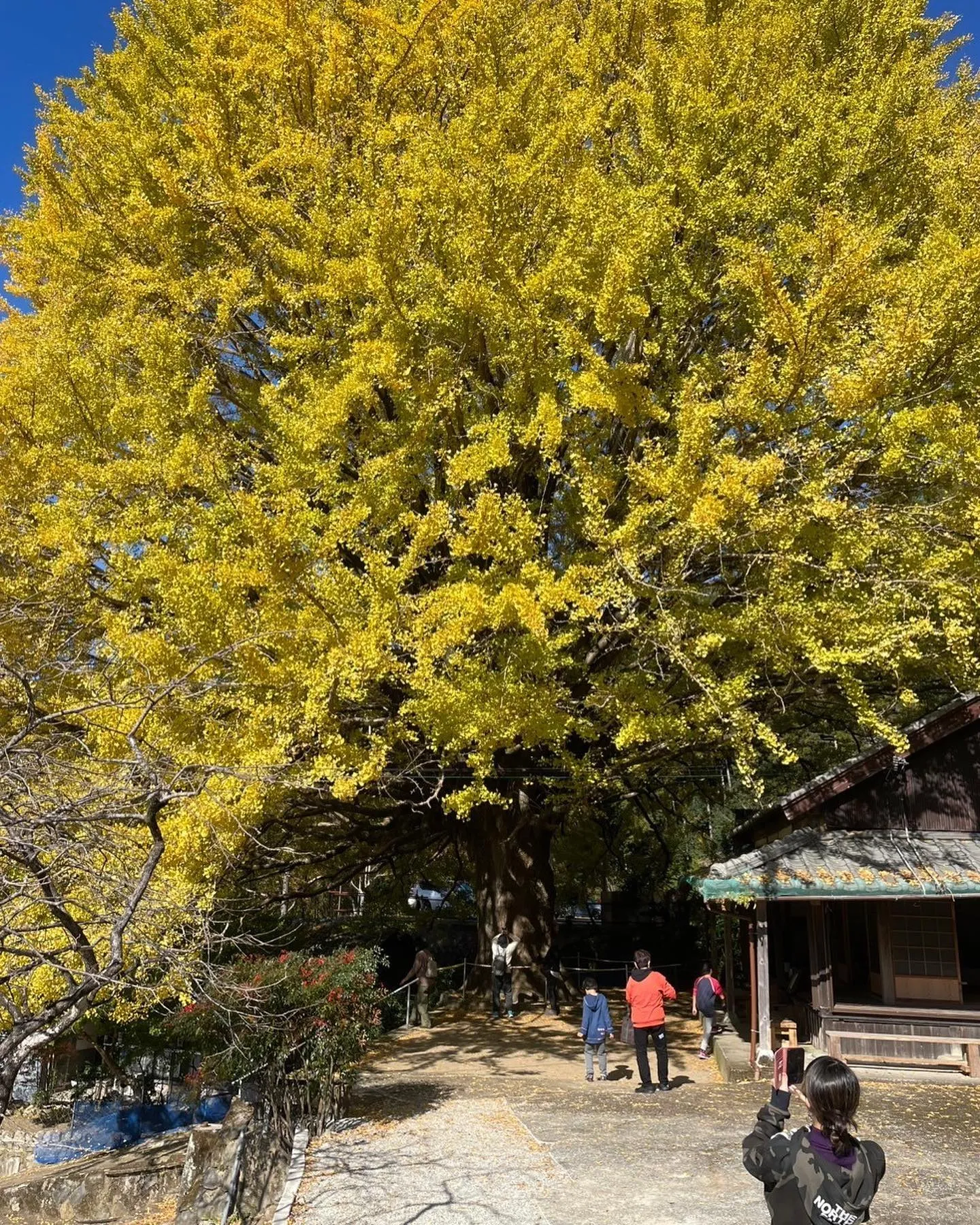 幸せな休日✨ありがとうございました🥰